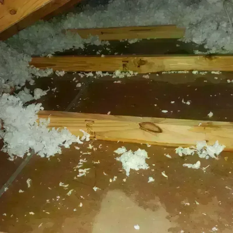 Attic Water Damage in Humboldt County, IA