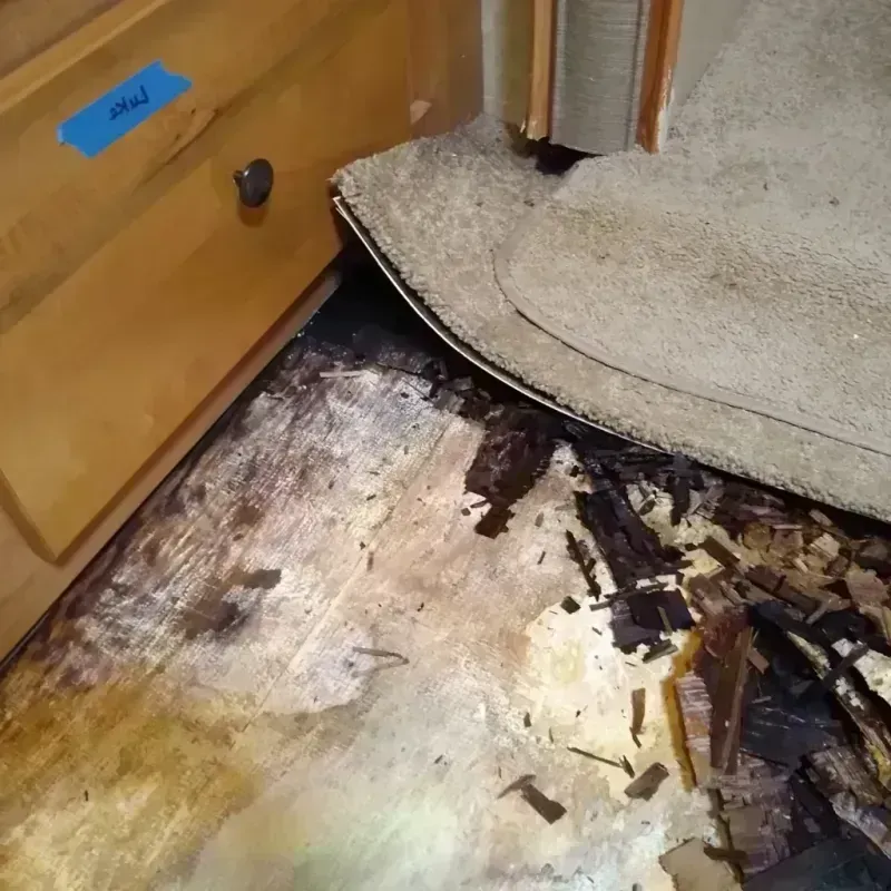 Best Wood Floor Water Damage Service in Humboldt County, IA